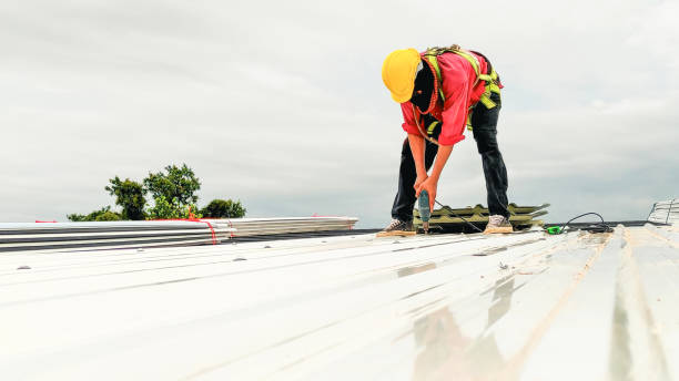 Best Roof Leak Repair  in Cloverdale, IN